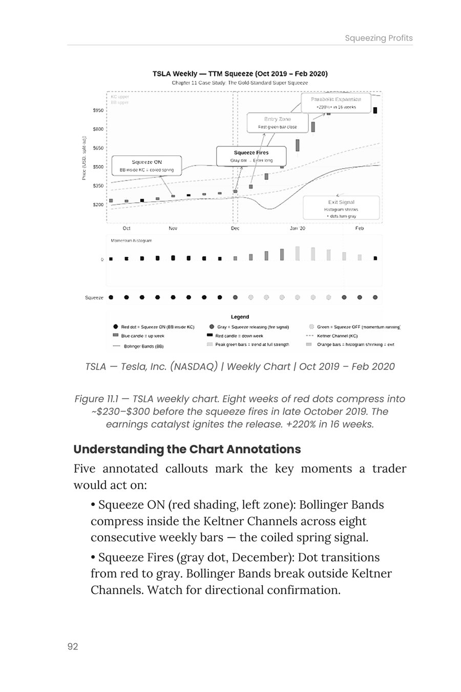Figure 11.1: the Tesla case study