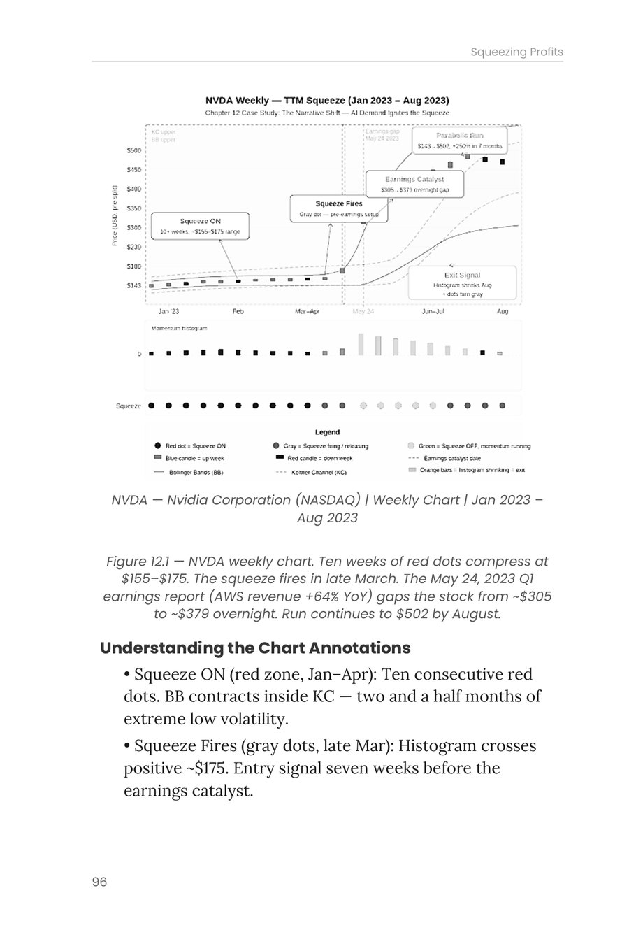 Figure 12.1: the Nvidia case study